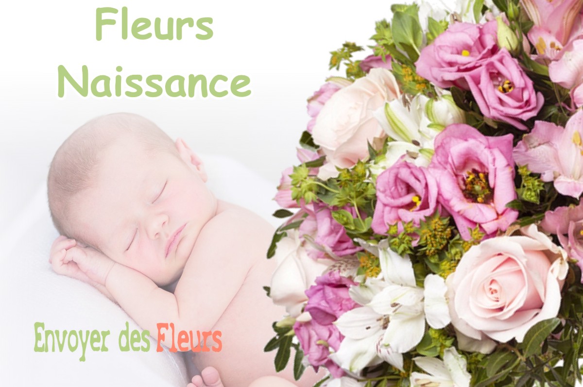 lIVRAISON FLEURS NAISSANCE à LABROSSE